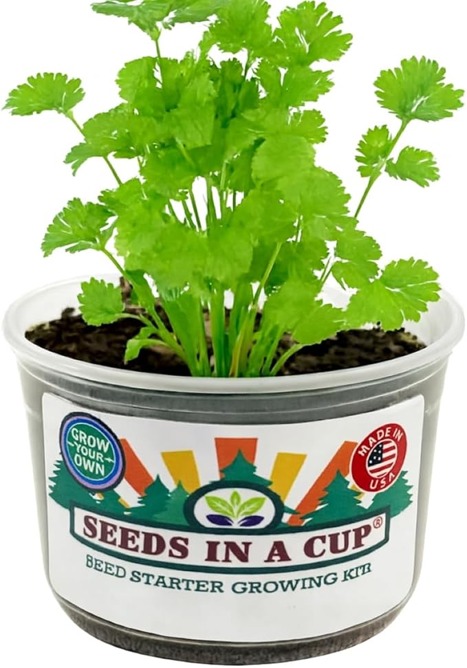 Easy Herb Grow Kit, Indoor Herbs Garden Seed Starter with Premium Seeds and Soil, Great Gift for Mom Dad Him Her Kids and You, Healthy Gift Idea Aromatic Trio: Basil Parsley Dill | Seeds In A Cup