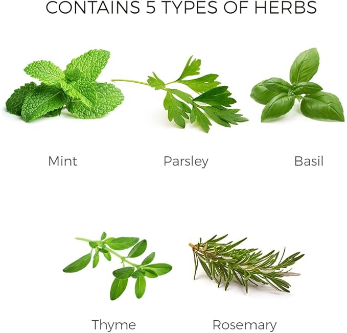 Herb Garden Kit. Seed Starter Kit Indoor. Grow 5 Different Herbs - Basil, Mint, Parsley, Thyme and Rosemary from Organic Seeds at Home. Gardening and Home Decoration Gifts