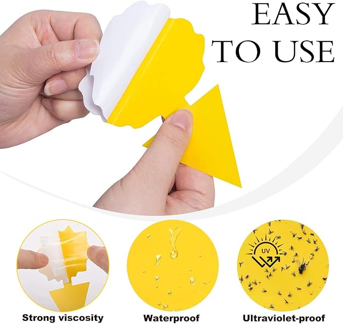Fruit Fly Trap for Indoors Fungus Gnat Killer Indoor Sticky Traps for Mosquito and Flying Insects Yellow Sticky Paper Sheets 30 Pack Succulents