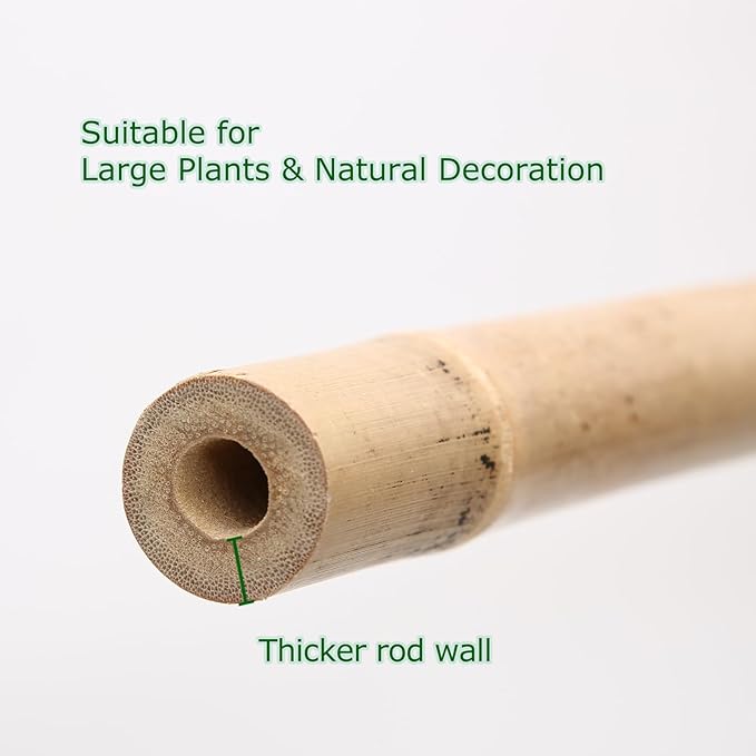 Cambaverd Bamboo Stakes 8 Feet, Diameter of 1 Inch Thicker Garden Stakes, Natural Plant Stakes for Tomatoes, Cucumbers, Grape Vine Climbing Plants Support and Natural Decoration - 10 Pack Bamboo Poles