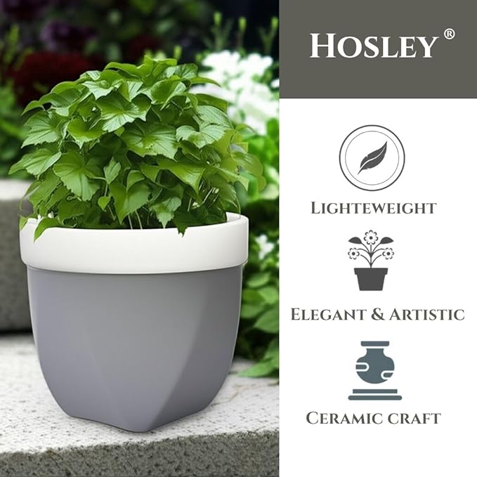 Hosley Grower Versa Pot Planter, 5.9 Inch - Perfect for Home Decor, Kitchen Decor & Planters for Outdoor Plants, Ideal for Office, Weddings, Floral Arrangements & Spa Settings