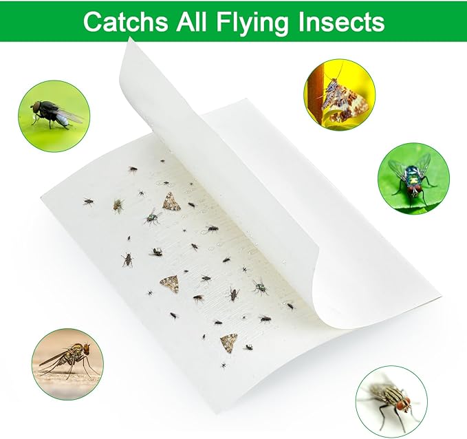 Qualirey 10 Pcs Fly Paper Traps Sticky Adhesive Fly Paper Traps Indoor and Outdoor Fungus Gnat Killer Plants Insect Gnat Catchers Glue Boards for Bug, Whiteflies, Aphids, Pest Control