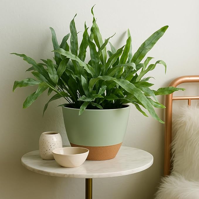 TYMENSH Plant Pots 12/10/9 inch Set of 3, Self Watering Flower Pots Indoor Outdoor, Planters with Drainage Hole Saucer Reservoir, Green
