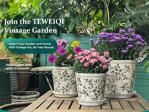 Teweiqi Ceramic Planter with Drainage Hole, Plastic Tray & Mesh, 6 Inch - Indoor/Outdoor Flower Pot for Orchids, Succulents, Green Floral Modern Farmhouse Décor for Home,Office and Garden, Ideal Gift