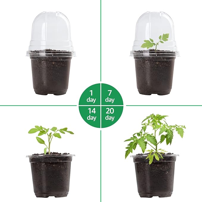 Bluepro 30 Packs 4 Inch Reinforced Clear Nursery Pots with Humidity Dome, Transparent Plastic Plant Pot Seedling Planter with Drainage Holes for Vegetable Propagation, Root Cutting, Seed Starting
