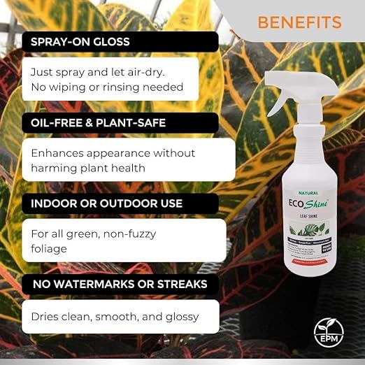Environmental Plant Management ECO Shine | Oil-Free Leaf Shine Spray for Houseplants & Indoor Plants | Spray & Walk Away Glossy Finish | for Live & Artificial Plants