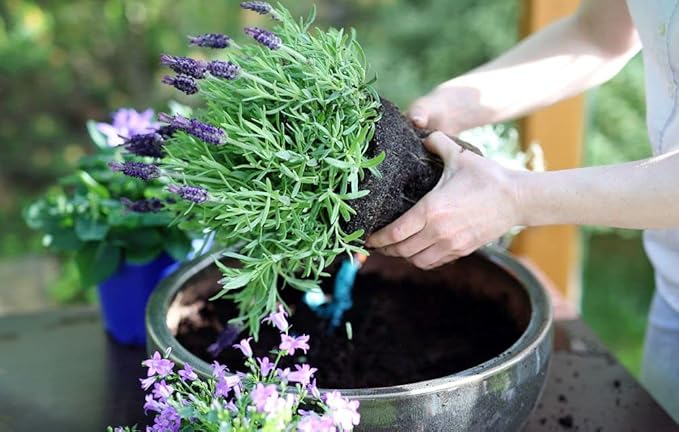 Gardenera Premium Moisture Control Potting Mix - Get The Perfect Balance of Moisture and Nutrients for Your Plants! - 4 Quart