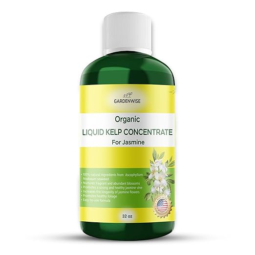 GARDENWISE Organic Premium Kelp Seaweed Fertilizer for Jasmin - Liquid Fertilizer - Liquid Plant Food - Nutrient-Rich Soil Enhancer - Natural Plant Food for Jasmin (32 OZ)