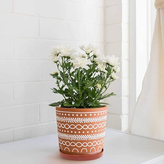 Yukfona Ceramic Plant Saucer Pot Tray 8.5 Inch, Planter Saucers 6 7 8 9 10 11 12 15 Inch, Durable Sturdy Flower Drainage drip Water Tray for Glazed Pots Base (8.5 Inch- Red Terracotta)