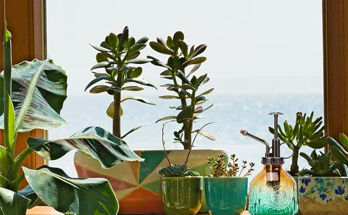 Plant Mister in Glass 200ML, Small Spray Bottle with Plastic Top Pump, Fine Mist Decorative Sprayer Tiny Watering Can Gift for Indoor Outdoor Succulent House Plant (Brown Green Gradient)