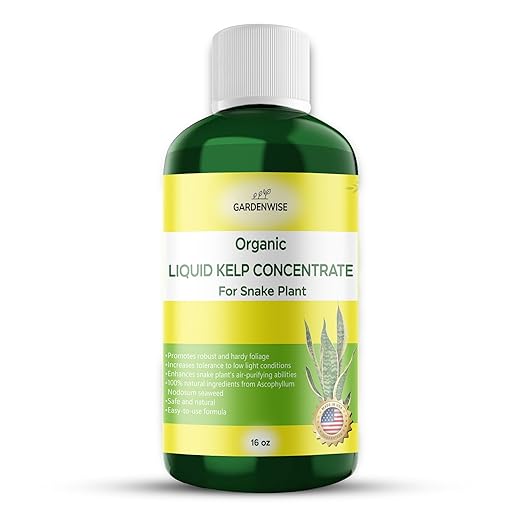 GARDENWISE Organic Seaweed Kelp Liquid Fertilizer for Sansevieria - Snake Plant Food (16 OZ)