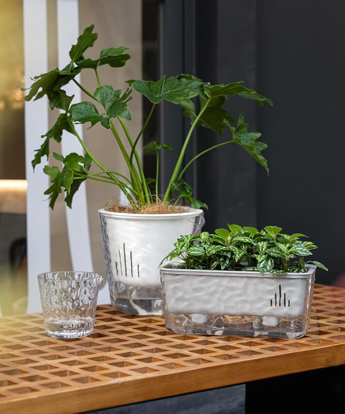 3 Pack Self Watering Rectangular Plant Pots, 11" x 5"x 5" Plant Containers with Drainage Holes, Rectangle Houseplant Window Planters for Succulents, Flowers,Herbs,Vegetables (Grey)