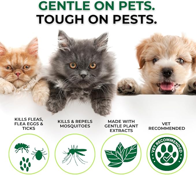 Nature’s Dome Outdoor Flea & Tick Spray – 16 oz – Kills & Repels Fleas, Ticks, Larvae & Eggs – Plant-Based Pest Control – Safe for Pets, Kids & Plants – Ready-to-Use