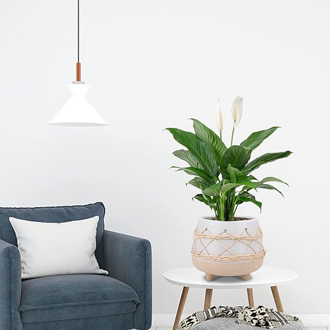 Ceramic Planter 8 Inch Plant Pots Indoor Outdoor Planter with Drainage Hole Flower Pots Plant Pot Ceramic Mid-Century