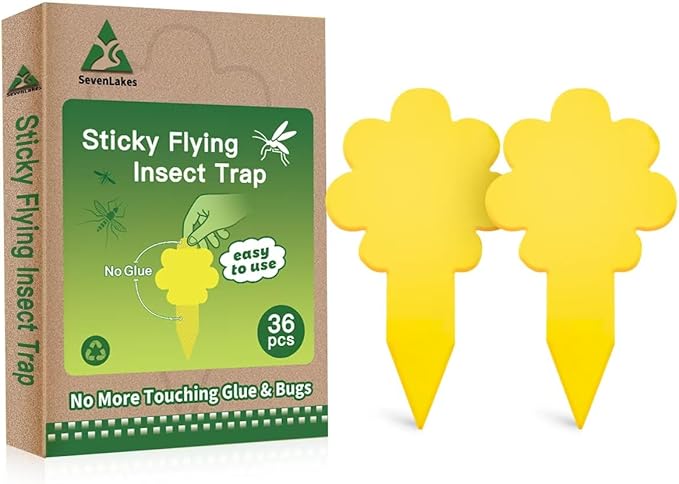 Sticky Yellow Fungus Gnat Traps, Easier to Use, No Touching Glue Or Bugs, Targets Species for Gnat, Fruit Fly & Pests, Thoughtfully Designed, High Capture Rate, Kid & Pet Safe, 36 Traps