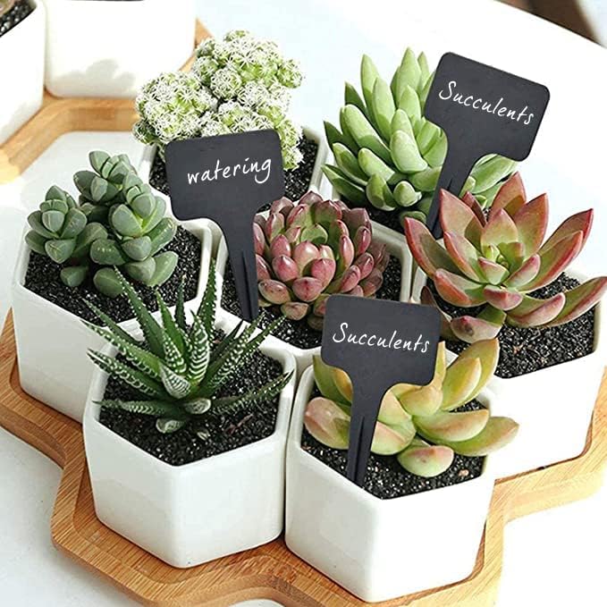 DaTpuik 100 Pcs Waterproof Black Durable Plastic Plant Outdoor Garden Labels Nursery Markers T-Type Thick Tags Re-Usable for Vegetables Seedlings