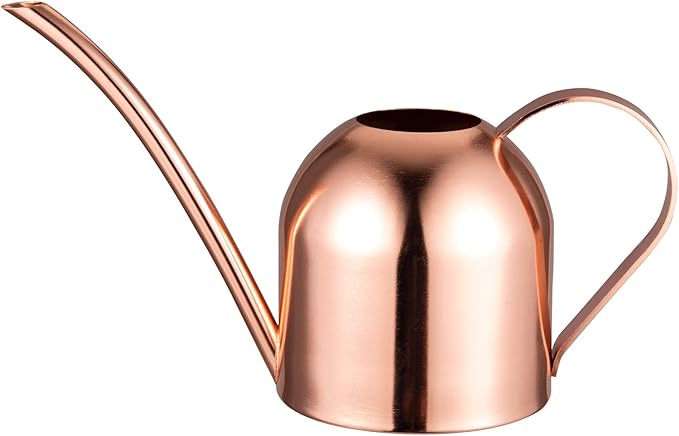IMEEA Mini Indoor Watering Can for Small Plants, Stainless Steel with Long Spout, 15oz/450ml – Perfect for Desk, Windowsill & Bonsai