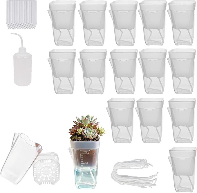16 Pack 2" Mini Clear Self Watering Plant Pots, Plastic Planters with Bottom Water Tray & Watering Rope, Nursery Planting Pot for Indoor Out Door Plants