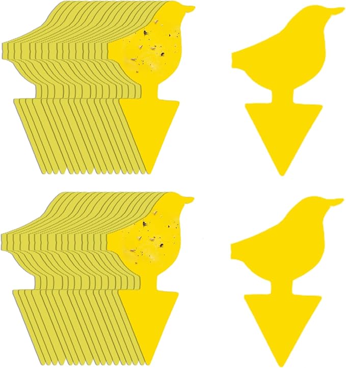 Kate's Home & Garden 36 Count Fruit Fly Traps for Indoors and House. Yellow Sticky Trap for Gnats, Mosquitos, Plants, Ants