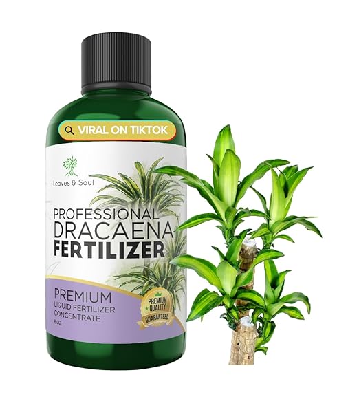Professional Liquid Dracaena Plant Fertilizer | 3-1-2 Concentrate for Indoor Plants | Multi-Purpose Blend & Gardening Supplies | 8 oz Bottle