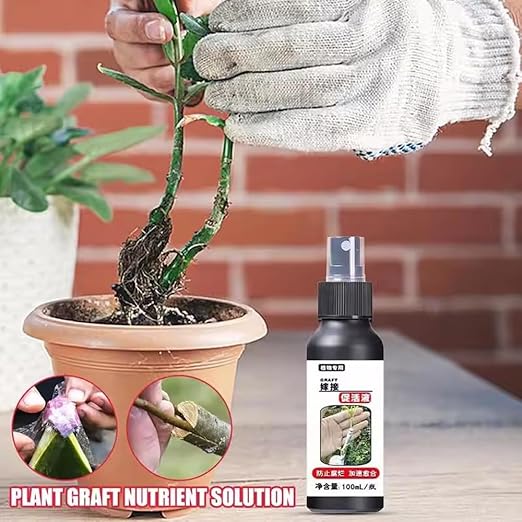 100ml Plant Activation Solution, Plant Growth Enhancer Succulent Root Booster Indoor Plant Fertilizer Plant Nutrient Solution (2Pcs)