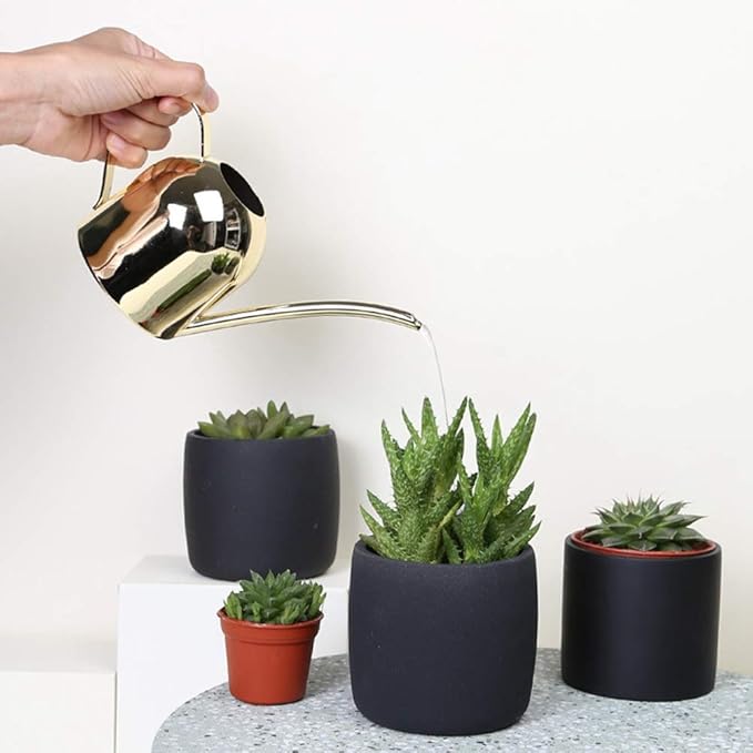 Watering Can, Stainless Steel Watering Can Mini Watering Pot Plant Watering Can with Long Spout Houseplant Potted Watering Can for Outdoor Office Succulent Bonsai Garden Flower Gift 500ml(Gold)