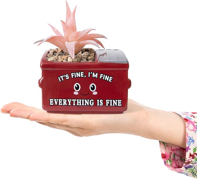 Dumpster Fire Fake Plants in Ceramic Succulent Pots Desk Decor, Emotional Support Positive Thinking Office Desk Accessories, Motivational Gifts for Women, Men, Coworkers