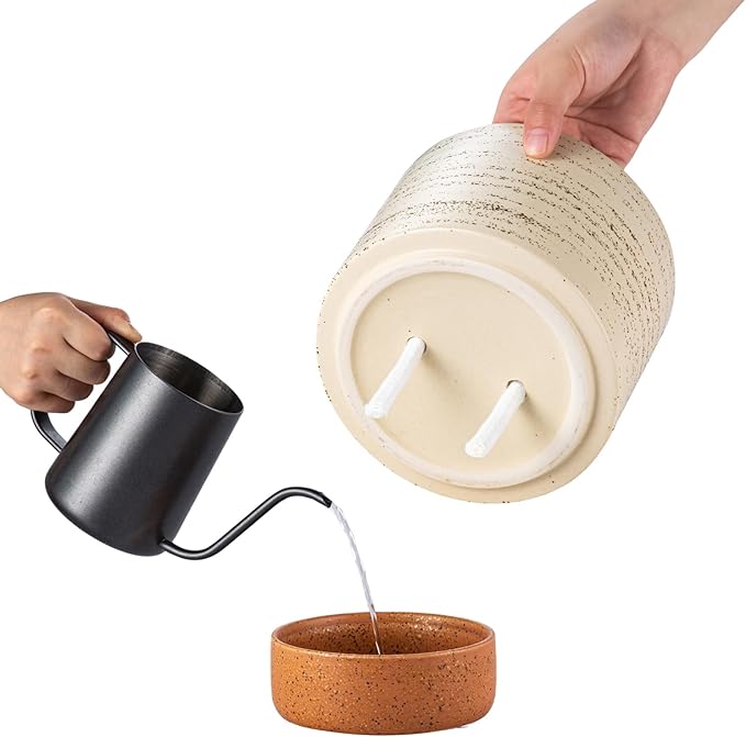 Self Watering Plant Pot: 6 Inch Ceramic Planter with Drainage Hole & Water Storage Plus - Flower Pot for Indoor & Outdoor Plants (Brush, Small)