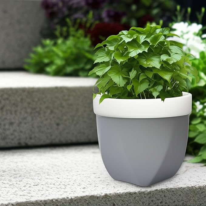 Hosley Grower Versa Pot Planter, 5.9 Inch - Perfect for Home Decor, Kitchen Decor & Planters for Outdoor Plants, Ideal for Office, Weddings, Floral Arrangements & Spa Settings
