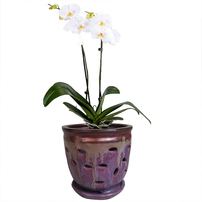 Large 6inch Puple Round Ceramic Orchid pots with Holes, Flower Pot with Saucer for Indoor Plants Home Decorative, Round Planter (Purple)