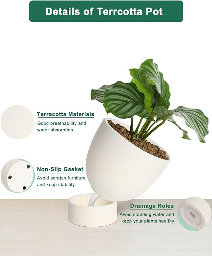 vensovo White Terracotta Self Watering Plant Pot - 2 PCS 6 Inch & 8 Terra Cotta with Drainage Hole and Saucer, Small & Large Clay Flower Pot with Tray, Plant Pot for Indoor Outdoor
