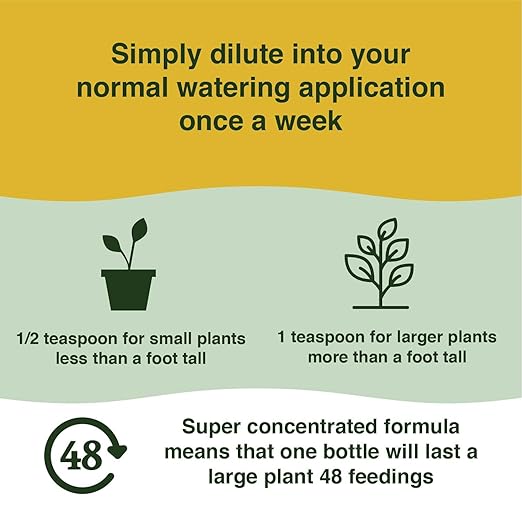 Farmer’s Secret Money Tree Liquid Plant Food Fertilizer (8oz) - Super Concentrated - Strengthen Roots and Encourage Growth in all Varieties of Money Trees