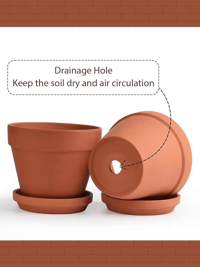 INGOFIN Terracotta Pots Set with Saucer - 2-Pack Ceramic Clay Planters with Drainage Hole, Garden Flower Succulent Pots with Tray for Indoor Outdoor Plants, 8 inch, Set of 2