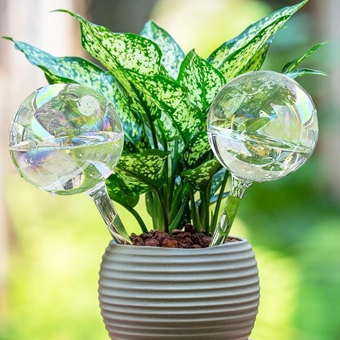 MOONSOUND 6pcs Glass Plant Watering Devices, Planter Self Watering Globes for Home Potting, Garden Flower Plant Watering Spikes Automatic Plant Water Bulbs Set for Indoor Outdoor Plant Daily Watering