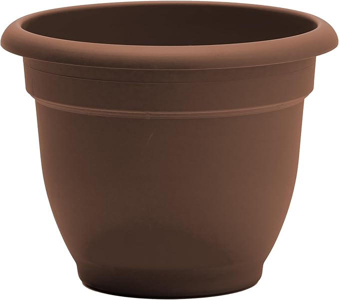 Bloem 10 Inch Ariana Planter with Self-Watering Grid, Chocolate