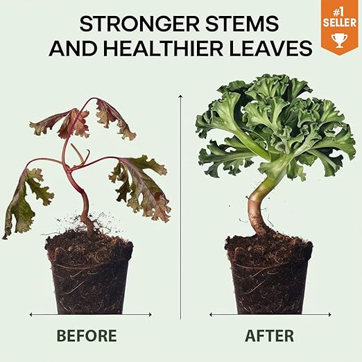 𝐒𝐔𝐏𝐄𝐑𝐈𝐎𝐑 Liquid Silica Boost Fertilizer and Supplement Spray for ZZ Plants – Pre-Mixed, Ready-to-Use Liquid Silicon Plant Superfood Mist for Indoor & Outdoor Plants – 8oz