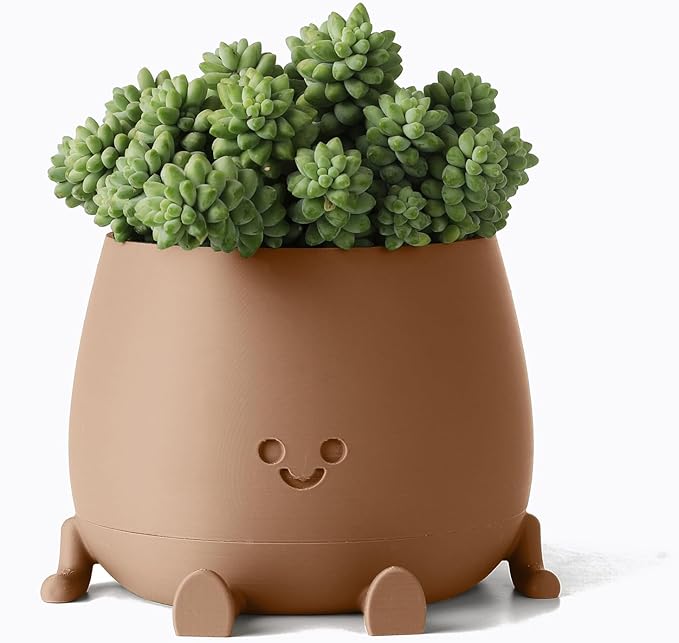 TOPOLA Happy Face Planter, 5.2 Inches Plastic Plant Pot, Self Watering Plant Pot with Drainage Holes for Indoor Outdoor, Succulent Pot, Funny Flower Pot, Khaki