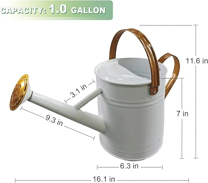 Watering Can for Outdoor&Indoor Plants，1 Gallon Metal Watering Can with with Removable Spout，Galvanized Steel Garden Flower Water Can Plant Watering Pot with 2 Handles，White