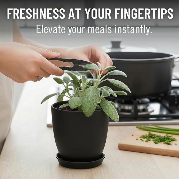 Indoor Garden Kit - Plant Pots with Drainage, Watering Can & Tools - Ideal Windowsill Planter Set - Modern Home & Kitchen Decor Gift - Black