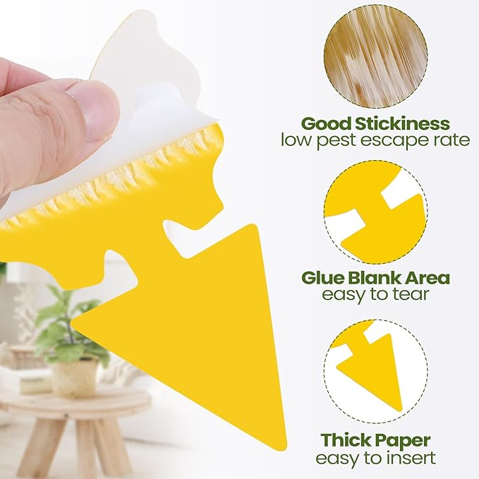 Qualirey 50 Sheets Fruit Fly Sticky Traps for Fruit Fly Gnat Trap for House Indoors Sticky Traps Catcher for Gnats Fungus Gnats Mosquito Catcher Kitchen Outdoor Plants(Classic Style, Yellow, Green)