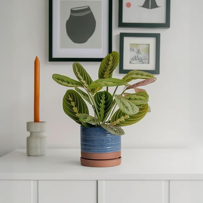 HERDUK 6 Inch Plant Pots, Ceramic Planter Pot with Drainage Hole & Saucer, Indoor/Outdoor Cylinder Round Planter Pot, Aqua Blue & Terracotta Red