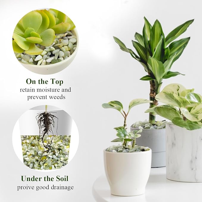 FANTIAN 2 lbs Jade Rocks for Plants Indoor, 3/8 inch Small Pebbles for Indoor Plants, Decorative Rocks for Succulents Cactus Bamboo Vases Landscaping Drainage and Outdoor Garden Rocks
