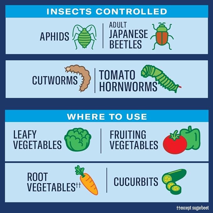 BioAdvanced Tomato & Vegetable Pest Control and Insect Killer, 32-Ounce, Hose Spray, Bug Spray for Plants