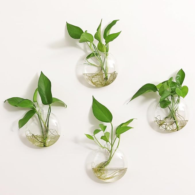 Kingbuy Wall Hanging Glass Planter Propagation Station - 2 Pack Oblate Globe Wall-Mounted Vases for Indoor Hydroponic Air Plants Bathroom Living Room Office Decor Gift for Women, Mom, Plants Lovers