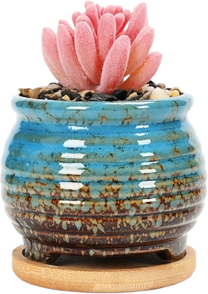 Cute Circular Ceramic Home Garden Decoration Succulent Cactus Flower Pots Container with Bamboo Tray -Plant Not Included (Blue, 3.8 Inch)