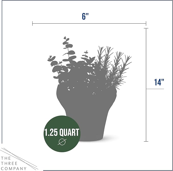 Live Aromatic and Healthy Herb Combo in Deco Cover - Breathe Better, Combo Includes Eucalpytus, Mint, and Rosemary, 12" Tall by 6" Wide in 1.25 Quart Pot