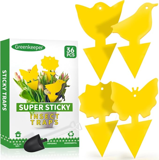 36 Pcs Sticky Traps for Fungus Gnat (Plants), Fruit Fly, Whitefly, and Fly, Yellow Sticky Insect Catcher Traps for Indoor/Outdoor, Kitchen, and Plants, High-End Glue, Non-Toxic (36 Pcs Yellow)