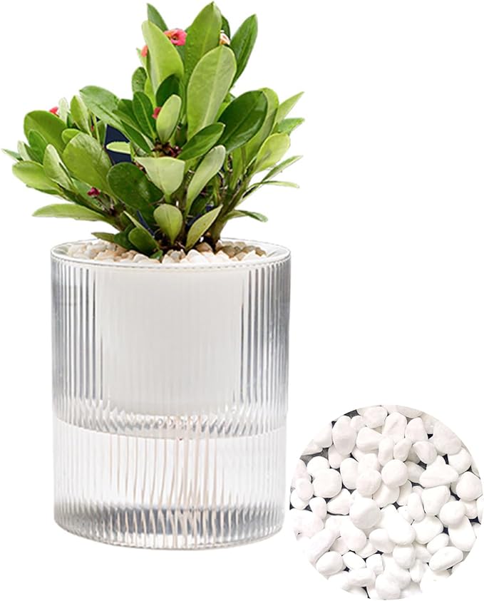 7 Inch Self Watering Pots,Clear Self-Watering Planters Box for Indoor Plants Flowers Outdoor Windowsill Gardens Comes with 1 Bag of White Pebbles