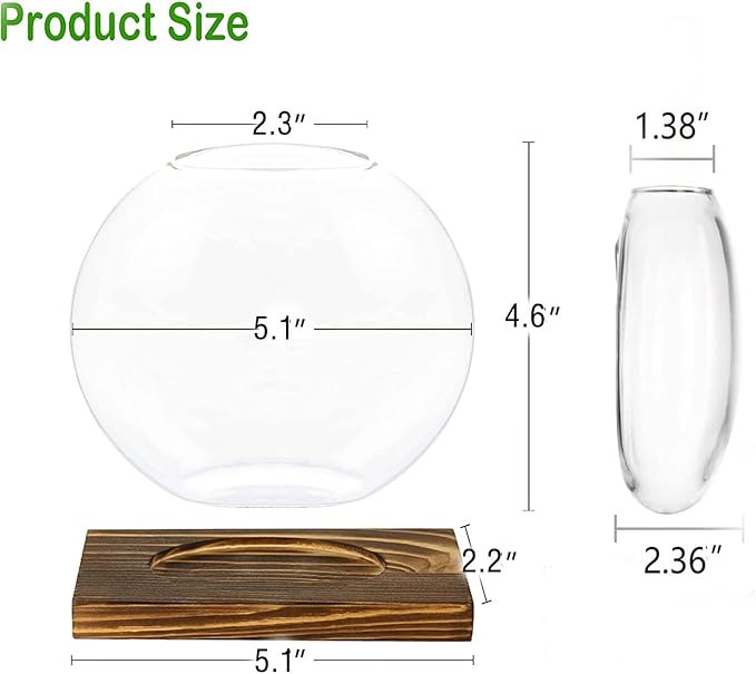 Kingbuy Round Glass Desktop Planter with Wooden Stand - Propagation Station for Small Hydroponic Plants, Spider Plants, Pothos, Lucky Bamboo - Terrarium Vase for Home Office Decor, 2-Pack, Brown