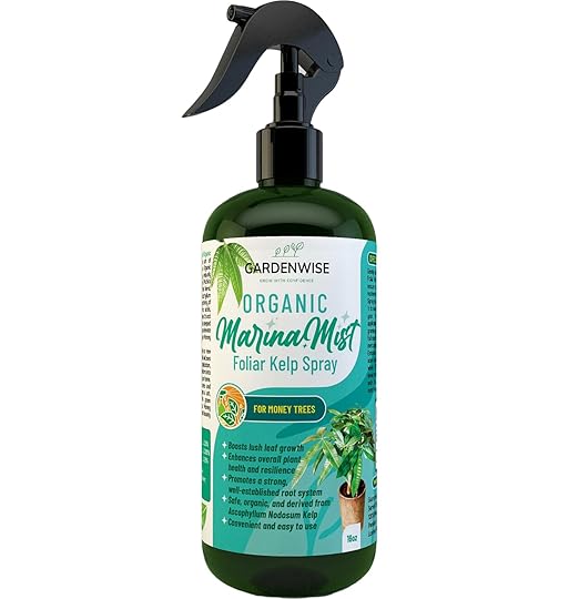 GARDENWISE Organic Marina Mist Foliar Spray for Money Tree | Liquid Fertilizer | Micro Nutrients for Vital Health | Liquid Plant Food (16 OZ)